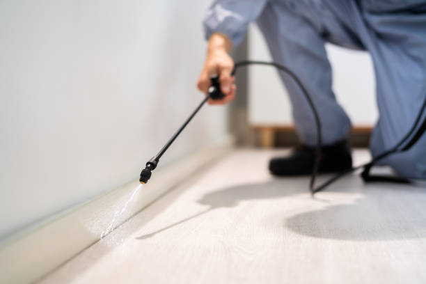 Licensed Termite Control service in Ohioville, PA - Show Me Pest Control
