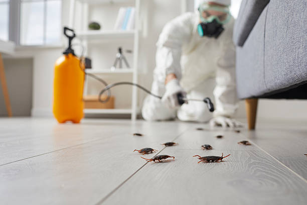 Commercial Rodent Management in Ohioville